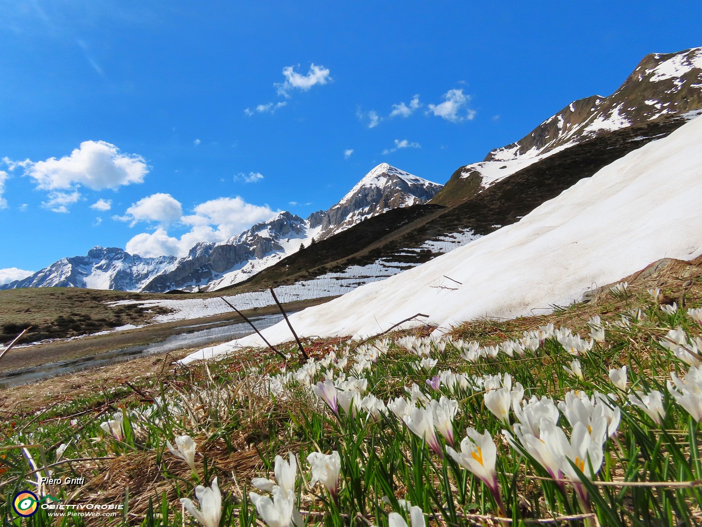 20 La neve si scioglie, i crocus fioriscono.JPG